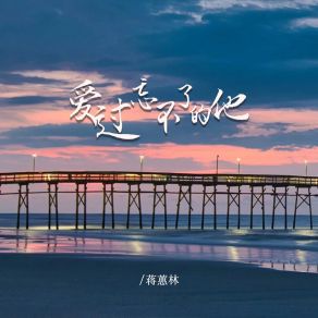 Download track 爱过忘不了的他 蒋蕙林