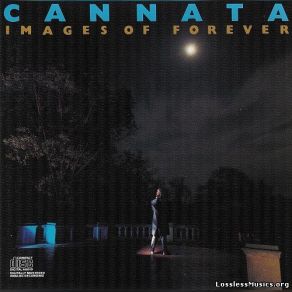 Download track Middle Of The Night Cannata