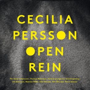 Download track Amble Rondo Cecilia Persson