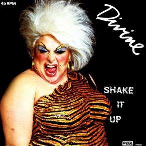 Download track B. Shake It Up (Instrumental) Divine