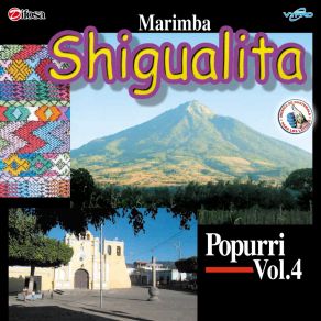 Download track El Niño Del Santísimo Marimba Shigualita