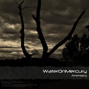 Download track Fear And Love 2003 [Bonus] Water On Mercury