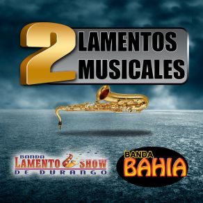 Download track Dario Ibarra (En Vivo) Banda Lamento Show De Durango