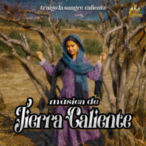 Download track Compre Una Cantina Musica De Tierra Caliente