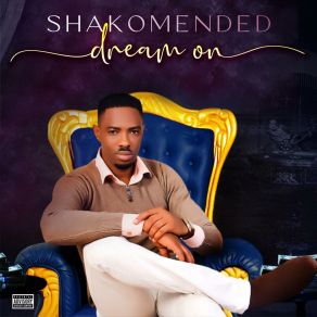 Download track Pundits Shakomended