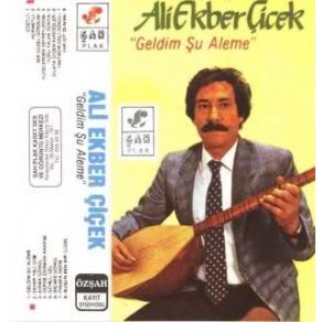 Download track Bir Güzel Gördüm Ali Ekber Çiçek