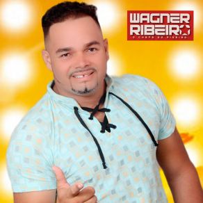 Download track Você Me Perdeu Wagner Ribeiro