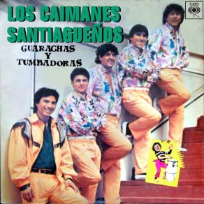 Download track Tu Minifalda Provocadora Los Caimanes Santiagueños