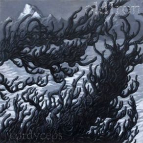 Download track Cordyceps Old Iron