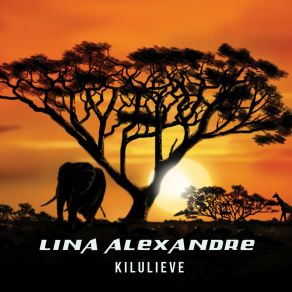 Download track Não Chore Mais Lina Alexandre