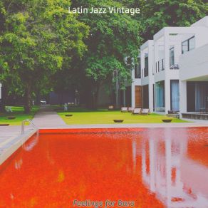 Download track Background For Hotel Restaurants Latin Jazz Vintage