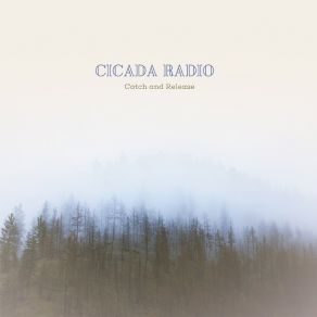 Download track Sleep Debt Cicada Radio