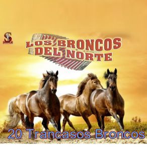 Download track Compas De Oaxaca Los Broncos Del Norte