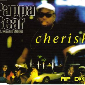 Download track Cherish (Radio Edit) Jan Van Der Toorn, Pappa Bear