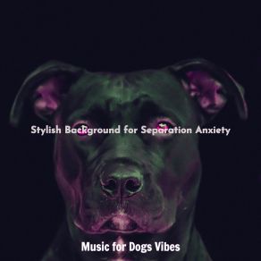 Download track Serene Moods For Dogs Music For Dogs Vibes