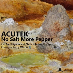 Download track Transport (Higsons Acid Trip) ACUTEK