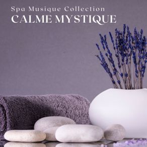 Download track Musique De Relaxation Spa Musique Collection