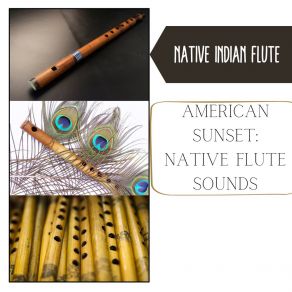 Download track Moon Visions Native Indian Flute