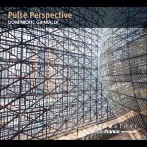 Download track Pulse Perspective Dominique Grimaldi