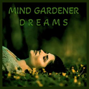 Download track New Friend (432 Hz Drone) Mind Gardener