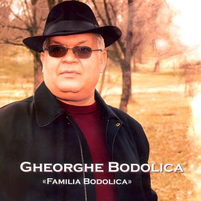 Download track Veniti De Ma Iubiti Gheorghe Bodolica