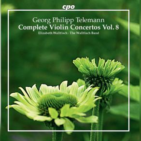 Download track Double Violin Concerto In G Major, TWV 52: G2: IV. Presto Elizabeth Wallfisch, Wallfisch BandSusan Carpenter-Jacobs