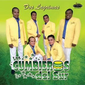 Download track La Revoltosa Los Cumbieros Del Sur