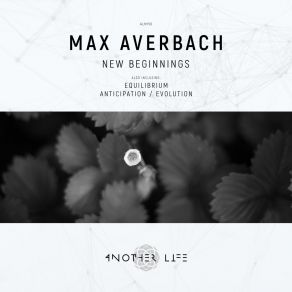 Download track Equilibrium Max Averbach