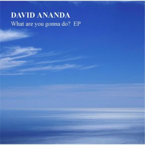 Download track Time Goes By (Electro Leopard Dub) David Ananda