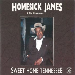 Download track Kissing In The Dark Homesick James, Hypnotics