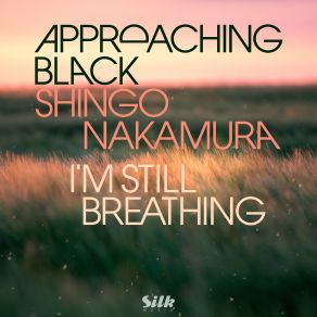 Download track Im Still Breathing (Alternative Mix) Shingo Nakamura