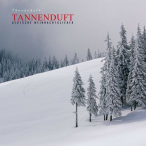 Download track Winterlicher Hammondorgel Zauber Klassische Weihnachtslider