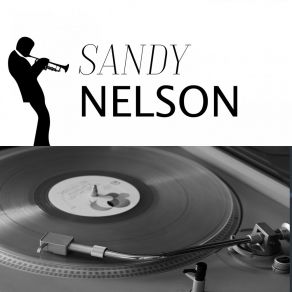 Download track The Birth Of The Beat Sandy Nelson