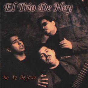 Download track No Te Dejare El Trío De Hoy