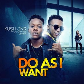 Download track Do As I Want Kush JnrDJ Kaywise, Opa6ix