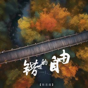 Download track 错过的自由 Chen Si Yu