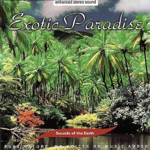 Download track Exotic Paradise Part Two David Sun