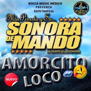 Download track Amorcito Loco Mia Pineda Y Su Sonora De Mando