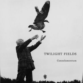 Download track I Can't Save You Twilight Fields