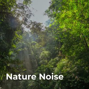 Download track Distant Waves Gentle NatureNaturae, Healing Nature FX, The Sound Of The Jungle