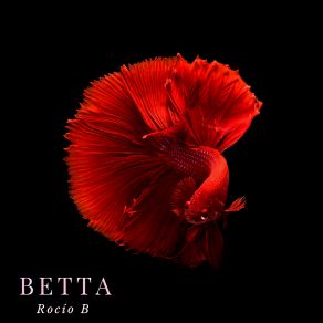 Download track Betta Rocío B