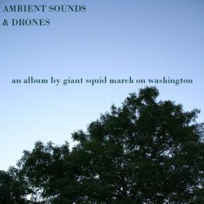 Download track 12 23 08 GIANT SQUID MARCH ON WASHINGTON