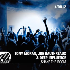 Download track Shake The Room (For The Boys Mix) Deep Influence