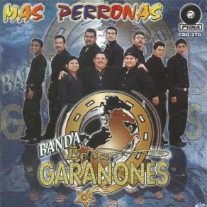 Download track Mariposa Traicionera Banda Los Garanones