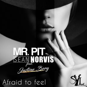 Download track Afraid To Feel (Ibiza Sun Of A Beach Remix) Mr. Pit, Justine Berg, Sean Norvis