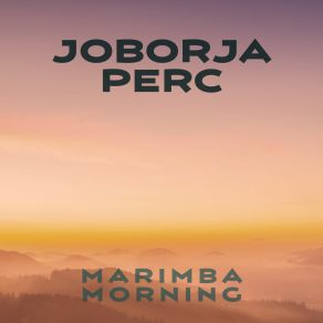 Download track Marimba Morning Joborja Perc