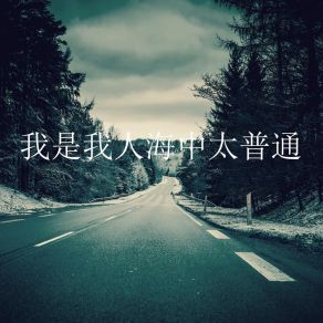 Download track 我是我人海中太普通 (轻音乐) 是唐大大呀