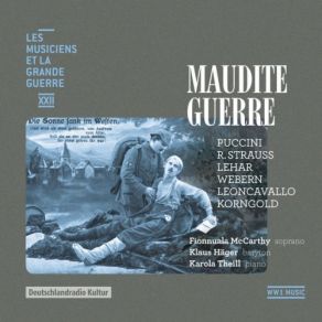 Download track Guerres Maudites Par Les Mères Klaus Häger