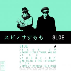 Download track Every Little Thing You Do Sloe