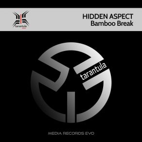 Download track Bamboo Break Hidden Aspect